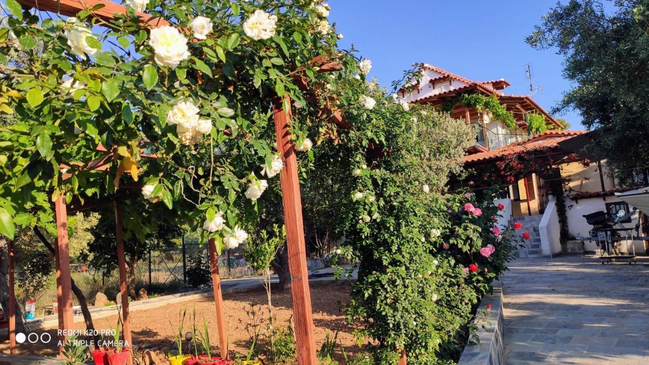 Panorama Apartment Eretria  Exterior photo